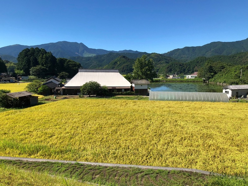 Komin 周辺の自然